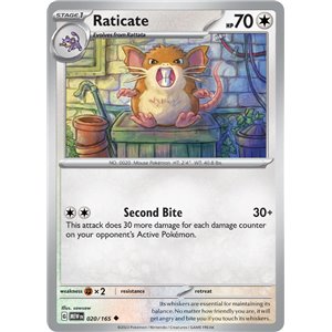 Raticate (Reverse/Holo)
