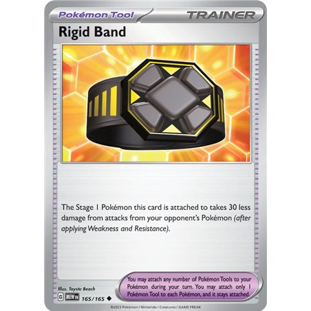 Cintur�n R�gido (Reverse/Holo)