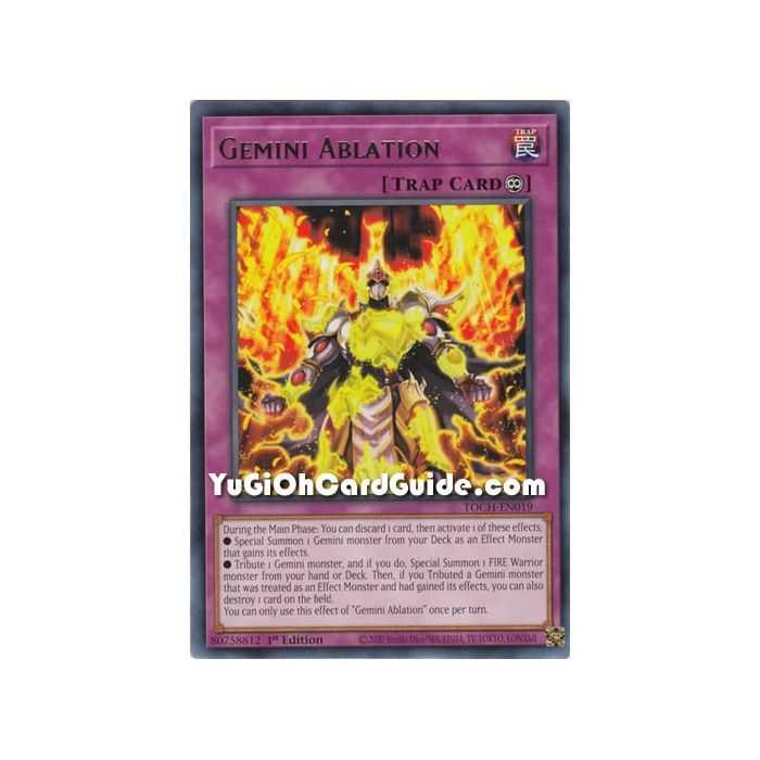 Gemini Ablation