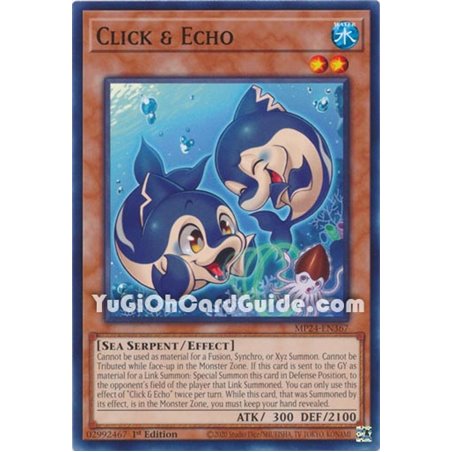 Click & Echo (Common)