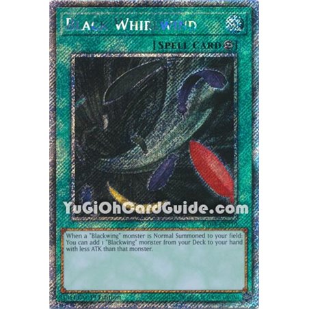Black Whirlwind (Platinum Secret Rare)