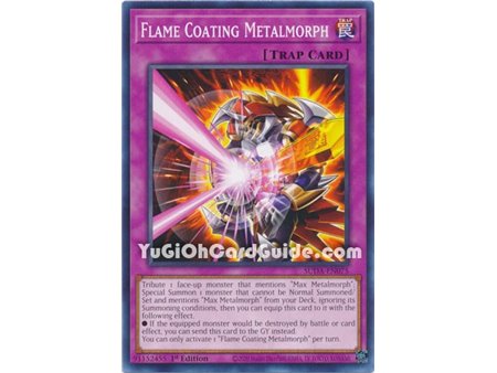 Flame Coating Metalmorph (Common)