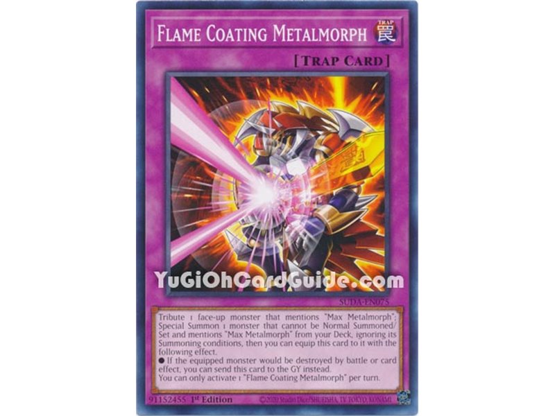 Flame Coating Metalmorph (Common)