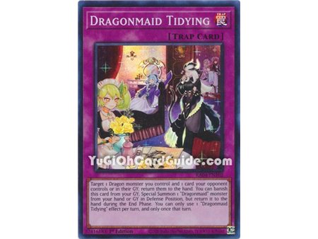 Dragonmaid Tidying (Platinum Secret Rare)