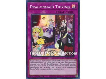 Dragonmaid Tidying (Quarter Century Secret Rare)