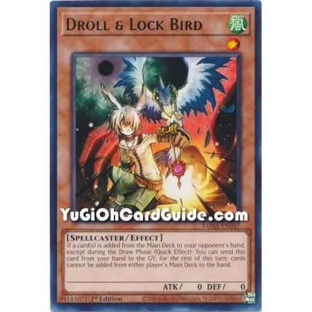 Droll & Lock Bird (Collector's Rare) – Tactical Masters | Carta YUGIOH en México