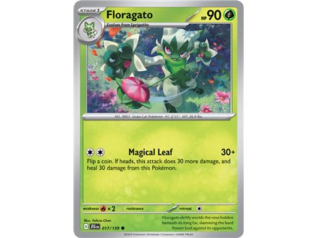 Floragato (Common)