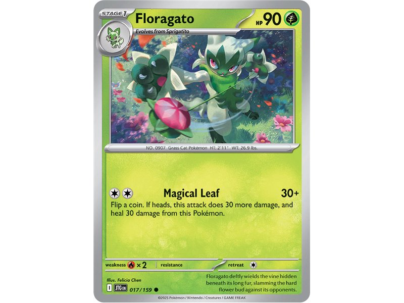 Floragato (Common)