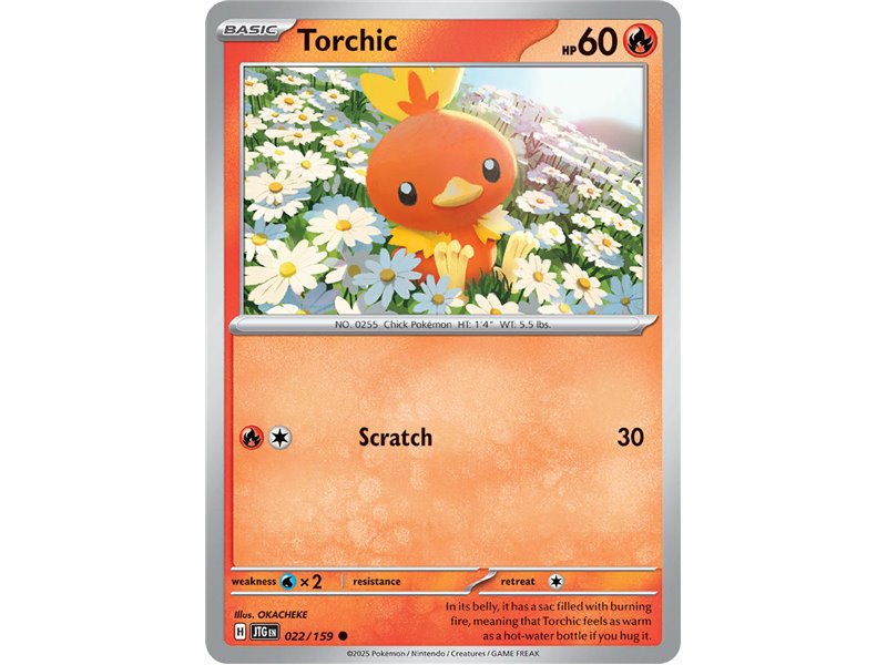 Torchic (Common)