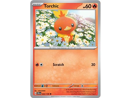 Torchic (Common)