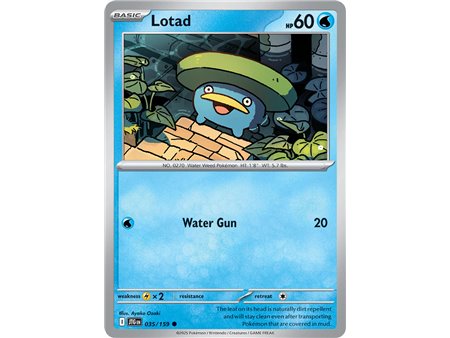 Lotad (Common)
