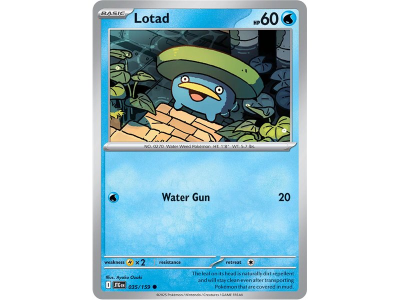 Lotad (Common)