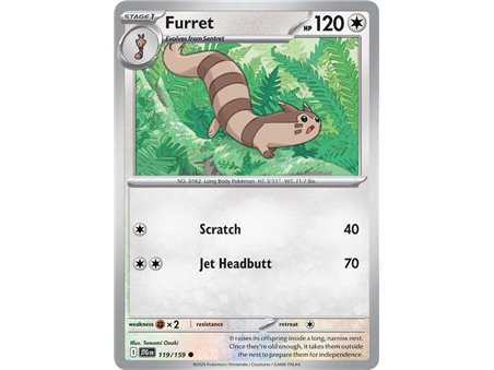 Furret (Common)