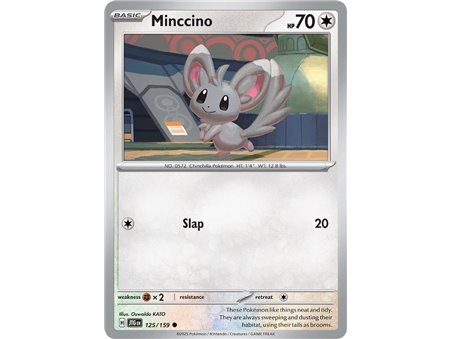 Minccino (Common)