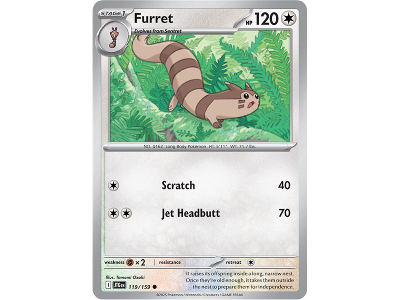 Furret (Common/Reverse Holofoil)
