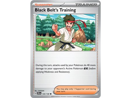 Black Belt's Training (Common/Reverse Holofoil)