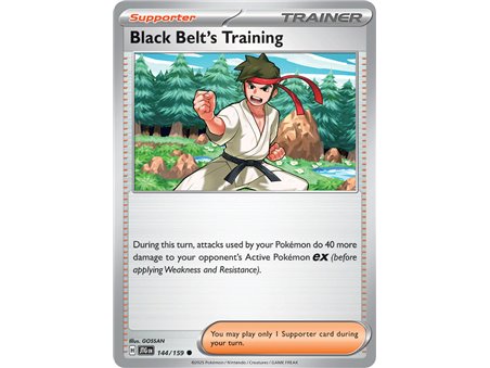 Black Belt's Training (Common/Reverse Holofoil)