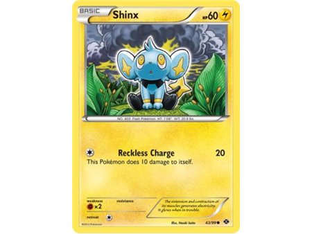 Shinx (Common)