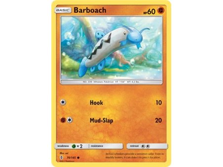 Barboach (Common) 