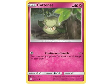Cottone (Common)