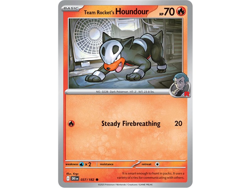Team Rocket's Houndour (Common)