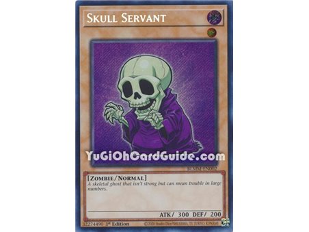 Skull Servant (Secret Rare)