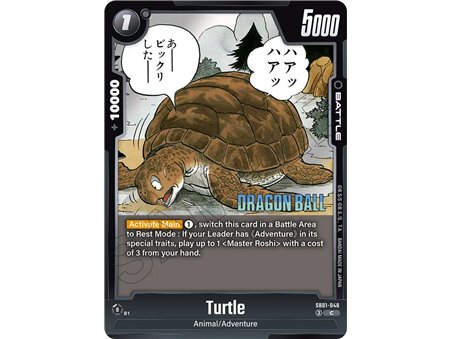Turtle (Common)