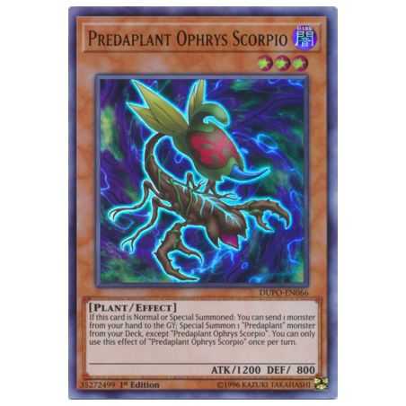 Predaplant Ophrys Scorpio