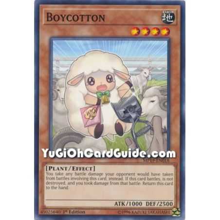 Boycotton (Common) – 2019 Gold Sarcophagus Mega Pack | Carta YUGIOH en México