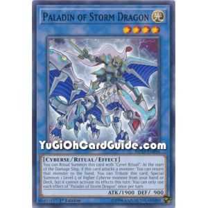 Paladin of Storm Dragon (Common) – 2019 Gold Sarcophagus Mega Pack | Carta YUGIOH en México