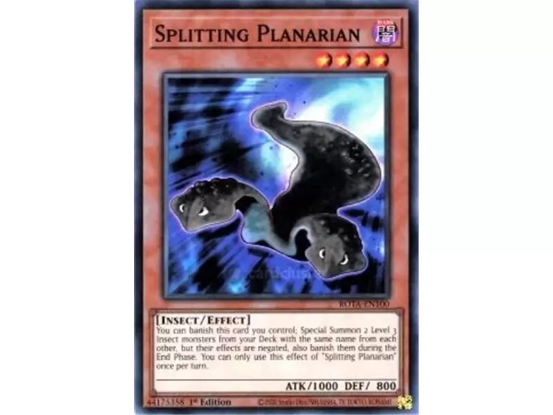 Splitting Planarian (Ultra Rare)