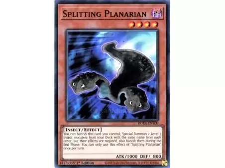 Splitting Planarian (Ultra Rare)