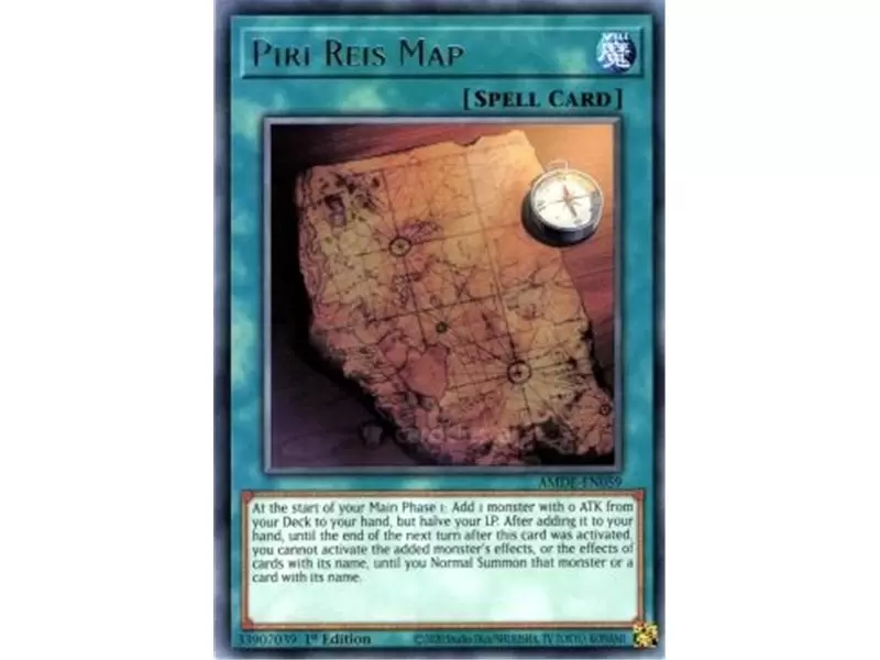 Piri Reis Map (Ultra Rare)