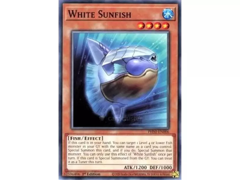 White Sunfish (Common)