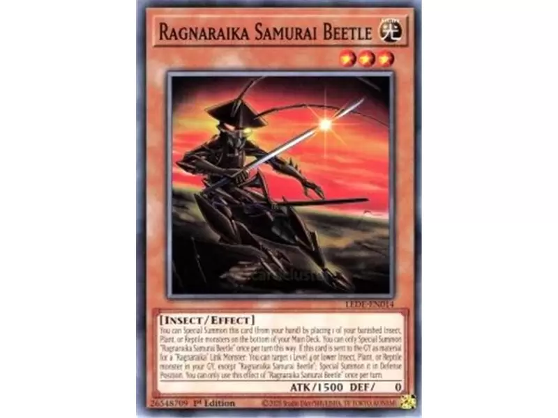 Ragnaraika Samurai Beetle (Common)