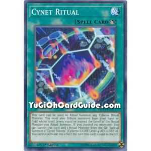 Cynet Ritual (Common) – 2019 Gold Sarcophagus Mega Pack | Carta YUGIOH en México