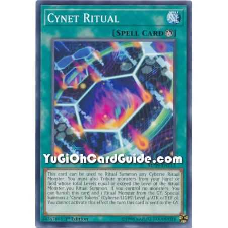 Cynet Ritual (Common) – 2019 Gold Sarcophagus Mega Pack | Carta YUGIOH en México