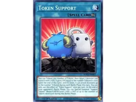 Token Support (Common)