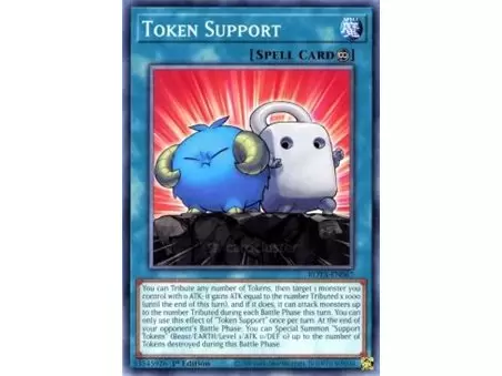 Token Support (Common)