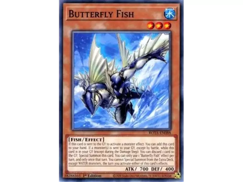 Butterfly Fish (Common)