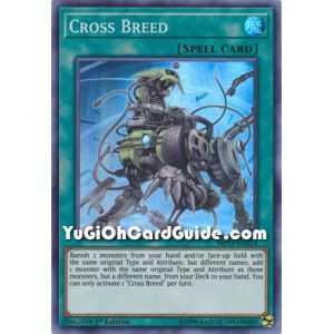 Cross Breed (Super Rare) – 2019 Gold Sarcophagus Mega Pack | Carta YUGIOH en México