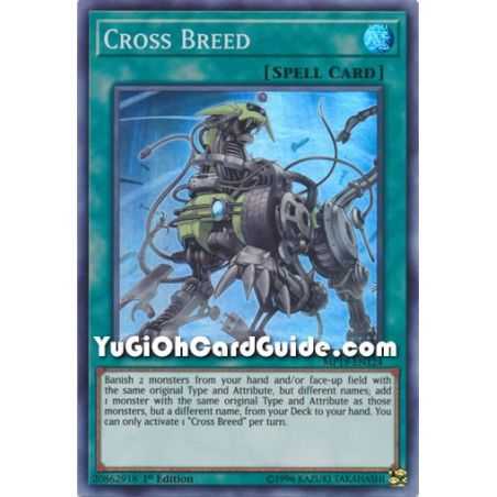 Cross Breed (Super Rare) – 2019 Gold Sarcophagus Mega Pack | Carta YUGIOH en México