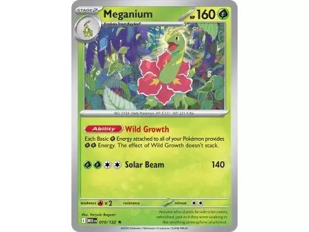 Meganium (Rare Holofoil) – ME01 Mega Evolution | Carta POKEMON en México