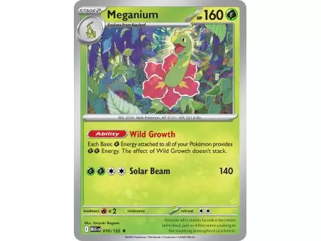 Meganium (Rare Holofoil) – ME01 Mega Evolution | Carta POKEMON en México