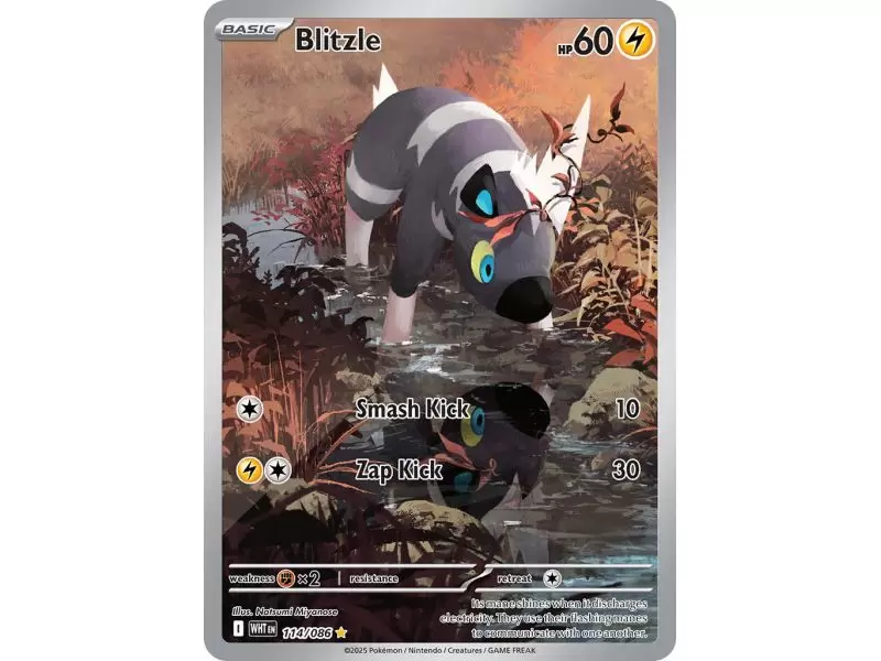 Blitzle (Illustration Rare) – SV10.5 White Flare | Carta POKEMON en México