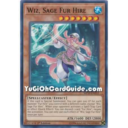Wiz, Sage Fur Hire (Common) – 2019 Gold Sarcophagus Mega Pack | Carta YUGIOH en México