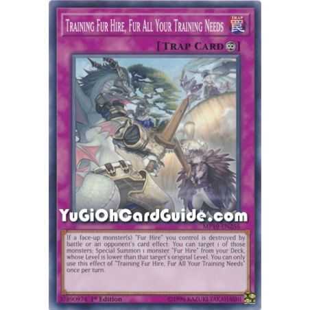 Training Fur Hire, Fur All Your Training Needs (Common) – 2019 Gold Sarcophagus Mega Pack | Carta YUGIOH en México