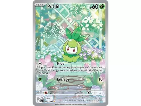 Petilil (Illustration Rare) – Black Bolt SV10.5 | Carta POKEMON en México