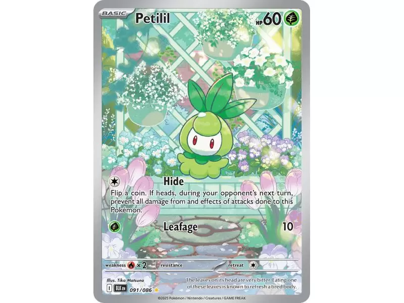 Petilil (Illustration Rare) – Black Bolt SV10.5 | Carta POKEMON en México