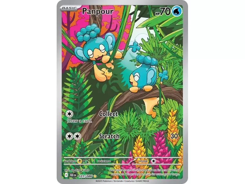 Panpour (Illustration Rare) – Black Bolt SV10.5 | Carta POKEMON en México